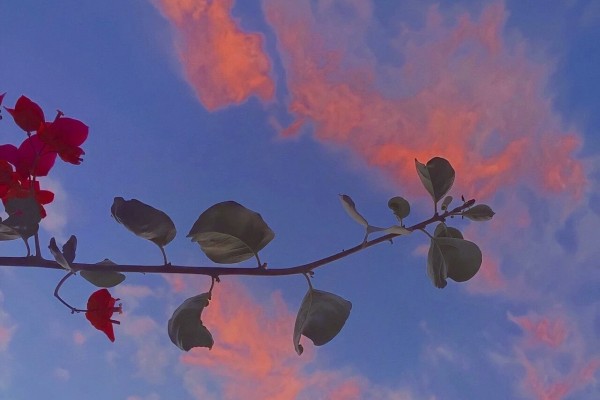 《在年代文里当搅家精》小说书评，作者乌鸦老道-有文学