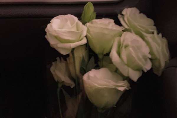 小说书评《青蛙与蛇》推荐，作者女娲-有文学