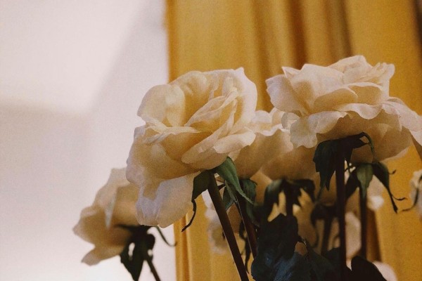 小说《沈小茹的办公室历程》书评（宋河VS沈小茹）-有文学