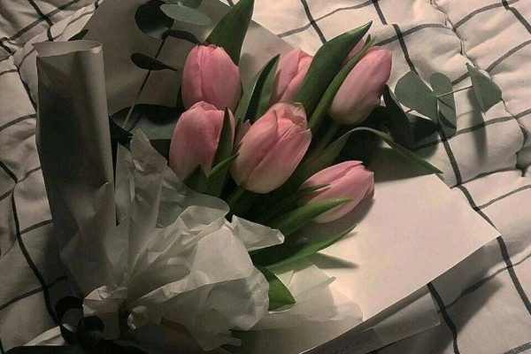 《应许之日》小说书评，作者辛夷坞（丁小野VS封澜）-有文学