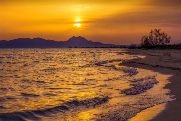 丹青手的小说《烈日与鱼》书评，（顾语真VS李涉 ）-有文学