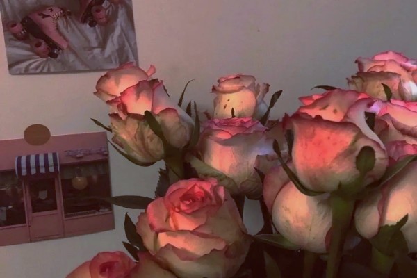 小说《几分熟》书评推荐，作者余姗姗，女主叶沐-有文学