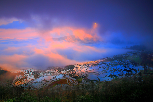 休屠城的小说《野狗骨头》书评，陈异和苗靖-有文学