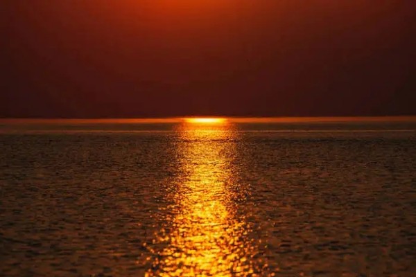 小说《近望海潮》书评，作者镜子（戴清嘉VS俞景望）-有文学