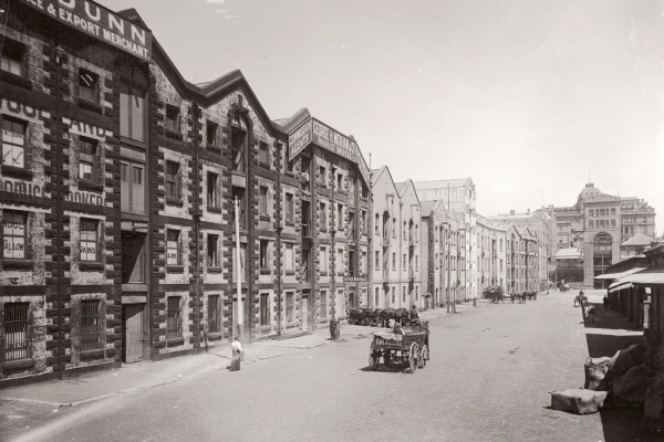 小说《悉尼往事》书评，作者黄金矿工双人版（陈暮vs周晟屿）-有文学