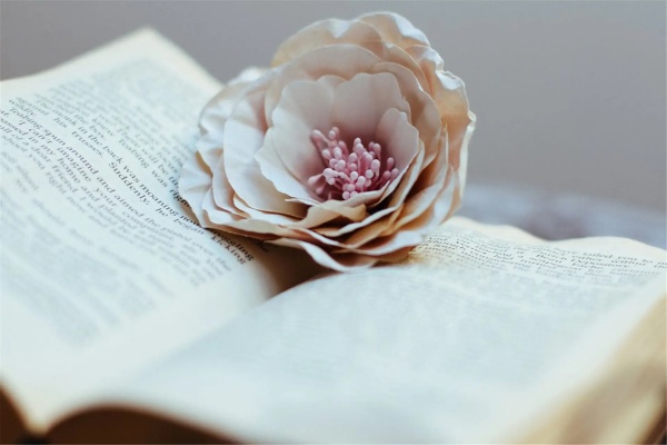 关于小说《是谁家新燕》书评，作者帘重（何绍礼VS江子燕）-有文学