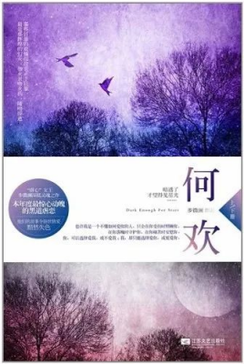 步微澜《何欢》小说书评，姜尚尧沈庆娣的相互救赎-有文学