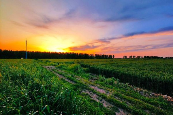 BL小说《男主归我了》书评，作者棺木（周远VS邱白）-有文学