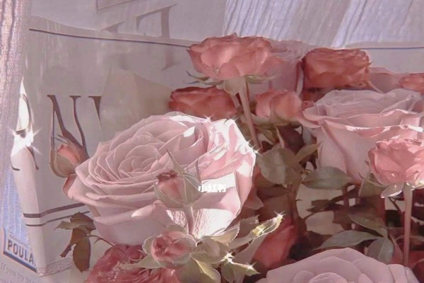 楼雨晴的小说《诱婚》书评，（傅克韫VS杜宛仪）-有文学