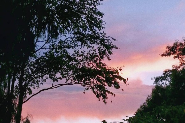 小说《伪爱情》书评，作者刹那迷失-有文学