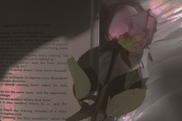 《误入浮华》小说书评，作者不经语（王居安VS苏沫）-有文学