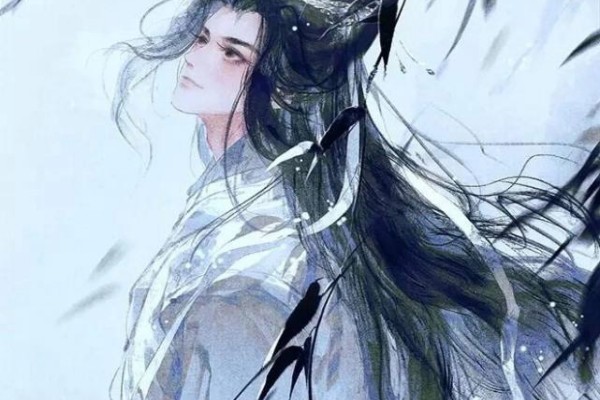 小说《嫁给病娇权臣后》书评，作者末东（魏展宸VS岳岚瑜）-有文学