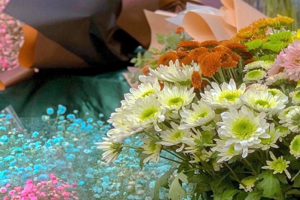 盛世爱的小说《我就喜欢这样的你》书评，（严熙光VS沈木星）-有文学