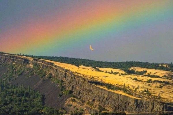 《相爱后动物感伤》小说书评，作者李尾-有文学