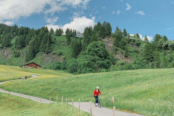 《我被系统坑在了六零》小说书评，作者湖涂（苏曼VS崔向北）-有文学