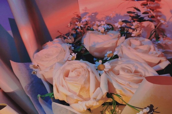 北途川的小说《挚吻》书评，（沈林欢VS陆尧 ）-有文学