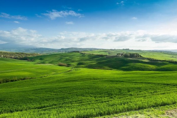 小说《六零年代大厂子弟》书评，作者鹿子草（戴誉VS夏露）-有文学