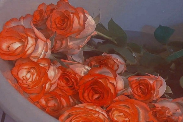 小说《晴天旅行团》书评，作者春十三少（周衍VS蔡知乔）-有文学