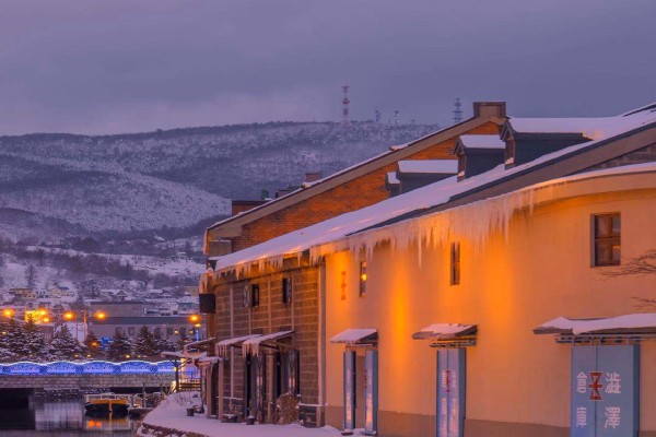 明开夜合的小说《落雪满南山》书评，（苏南VS陈知遇）-有文学