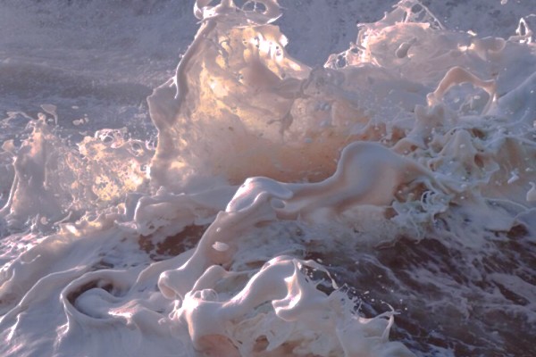 悬疑小说《诡校和绿茶谁更强大》书评，作者云长舒-有文学