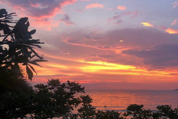 《天生吸引》小说书评，作者橘辣（周榛宇VS楚娜）-有文学