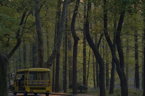 《意乱相逢时》小说书评，作者兰思思（杜悦VS许晖）-有文学