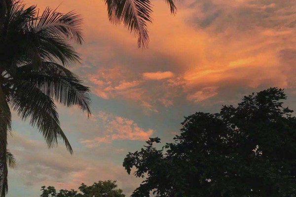 小说《沉香豌》书评，作者步微澜（秦昊VS陈婉）-有文学