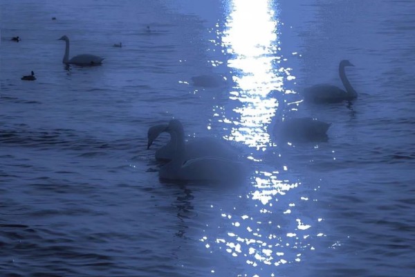 《只是对你认了真》小说书评，作者清枫语（江承VS温简）-有文学