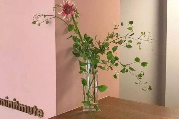 小说《人间大火》书评，作者缪娟（夏洋VS汪宁）-有文学