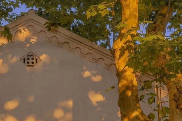 小说《八零之高嫁》书评，作者雪上一枝刀（许俊生VS林雨珍）-有文学