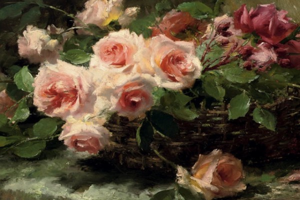 《荼蘼已尽夜未央》小说书评，作者追忆年华（顾亦城VS舒姝）-有文学