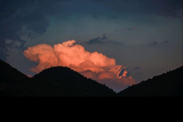 耳元的小说《危险爱情》书评，（陆昂VS安安）-有文学