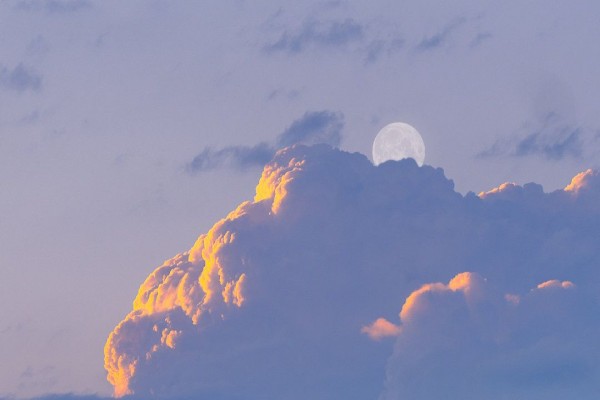 《是云间烟火》小说书评，作者棋声惊眠（宋清迦VS易安踪）-有文学