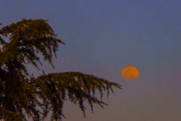 《穷途》小说书评，作者李庸和（陈更夕VS狄雷）-有文学