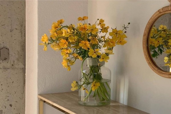 小说《给爱让步》书评，作者透明键（陆照辉VS陆晓青）-有文学