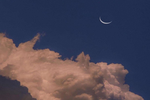 匪我思存的小说《爱情的开关》书评，（周衍照VS周小萌）-有文学