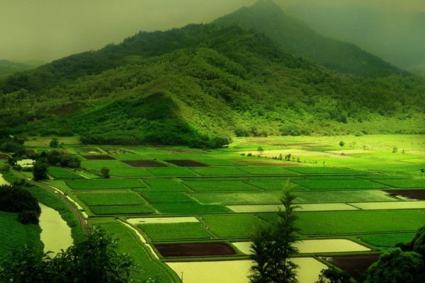 小说《七十年代喜当妈》书评，作者海棠无眠-有文学