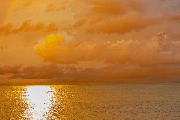 小说《MACAU恋爱故事》书评，作者呈堇（何至玺VS吴淼）-有文学