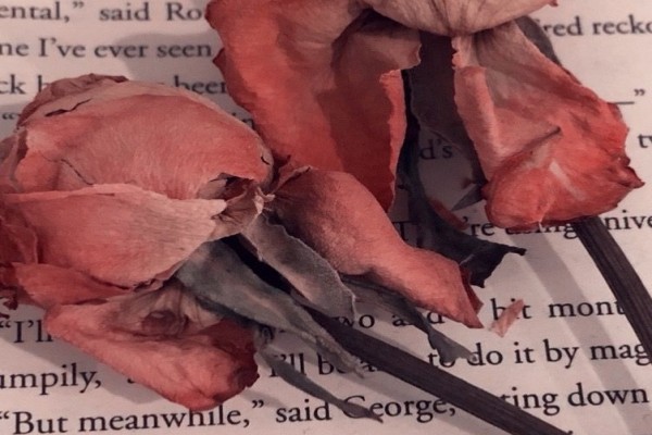 小说《寇越》书评，作者品丰（曲殊同VS寇越）-有文学