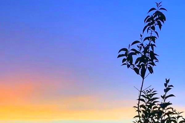 《矿区美人养娃日常》小说书评，作者老胡十八-有文学