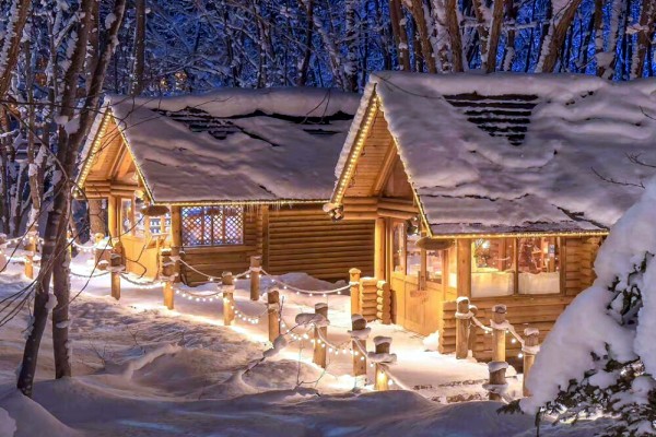 《灰色轨迹》小说书评,作者黄鱼听雷(魏妤VS李何砚)-有文学