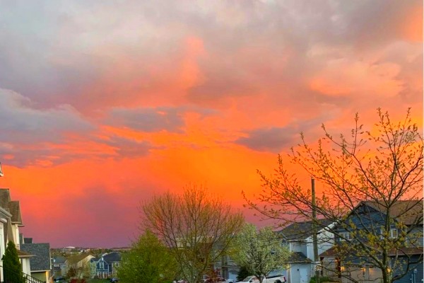 未夕的小说《果果的婚事》书评,(果果VS方博南)-有文学