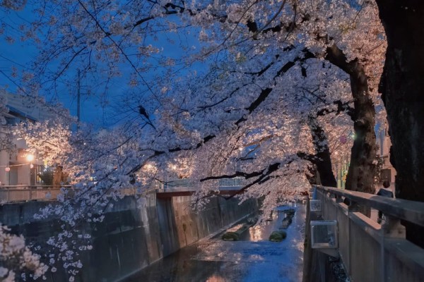 小说《贪心记》书评,作者神圣午睡(范晴VS程小乐)-有文学