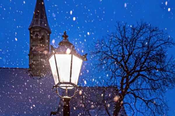 小说《执迷不悟》书评,作者飒然(夏谨VS时磊)-有文学