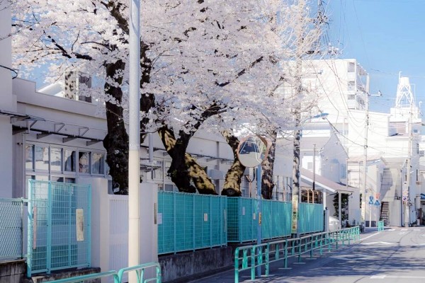 《老房子的春天》小说书评,作者烟半根(程诺VS宗朗)-有文学