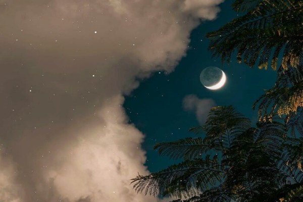 小说《独望月光》书评,作者绿芦(程隐月VS梁楫)-有文学