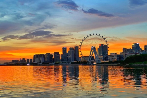 小说《婚宴》精彩书评,作者绿蜡(苏小鼎VS方骏)-有文学