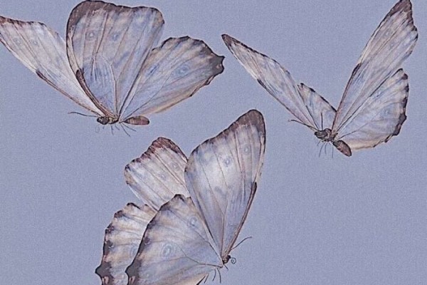 《听牌记》小说书评，作者梁仝（梁昭VS顾岐安）-有文学