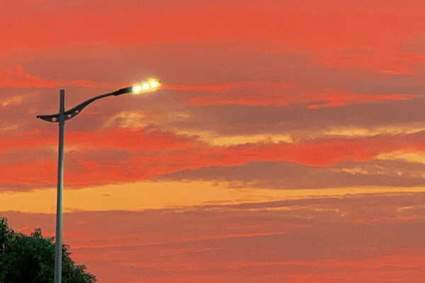 《傻妻》小说书评，作者丝柳（强子VS妞）-有文学