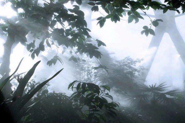 舒虞的小说《想你时心稀巴烂》书评,(陆南渡VS江汐)-有文学